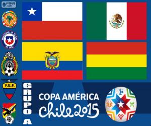 yapboz A grubu, Copa America 2015